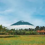 Villa Panak In Rice Fields