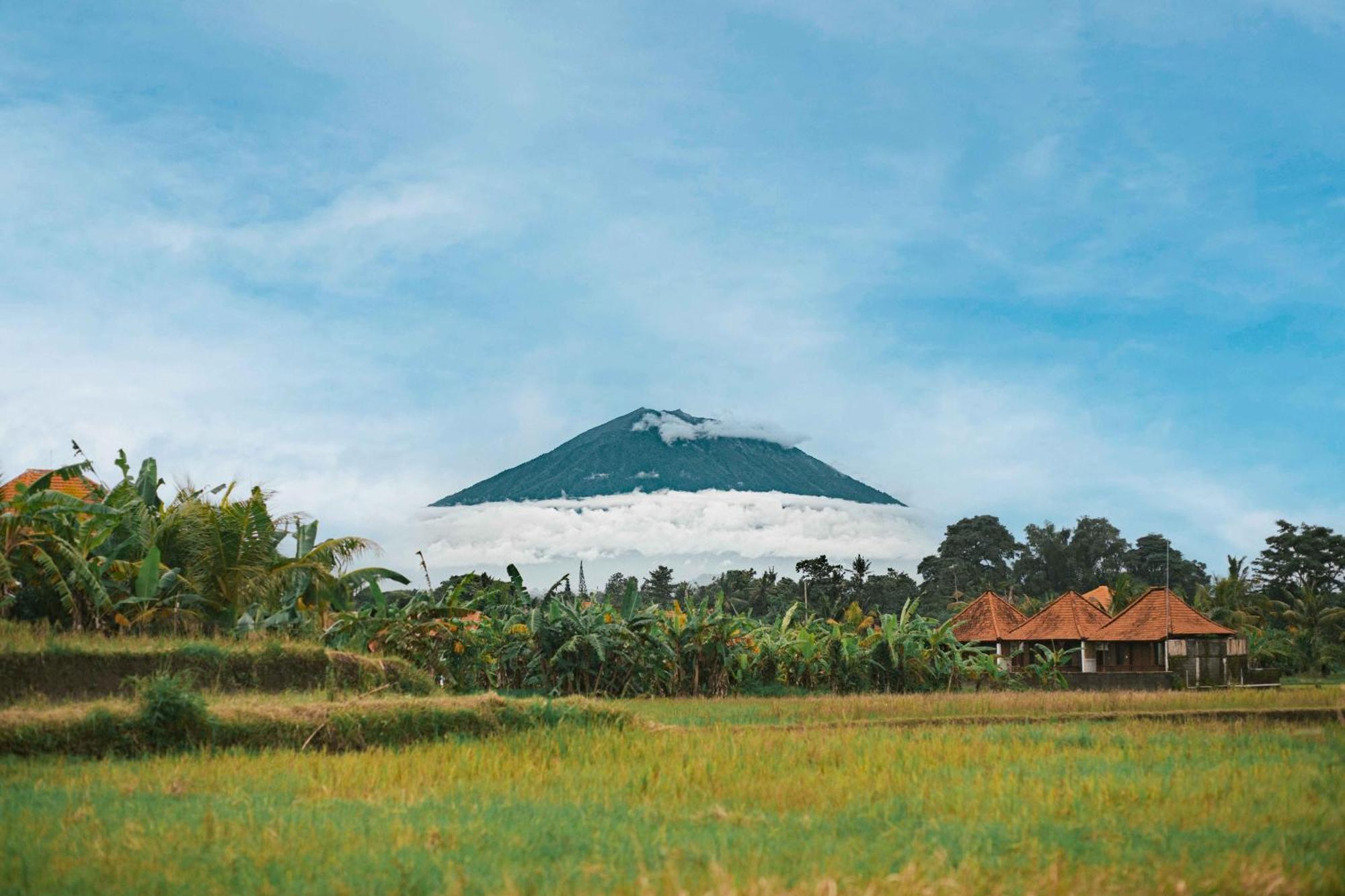 Panak In Rice Fields Villa *