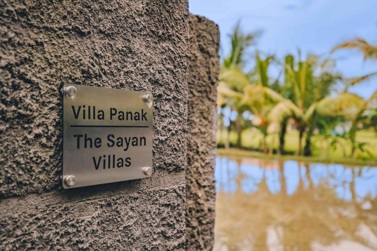 Panak In Rice Fields Villa