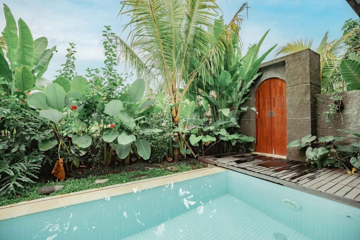 Villa Panak In Rice Fields